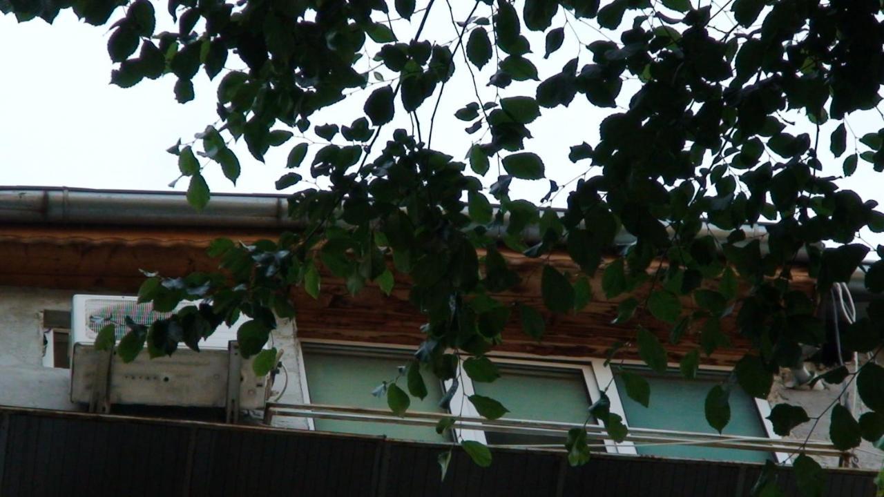 Studio French Embassy, Amzei Historic Center Bucharest Luaran gambar